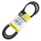 B1481749 - featured image