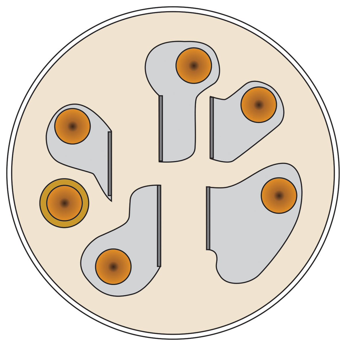 B1AC148 - image 2