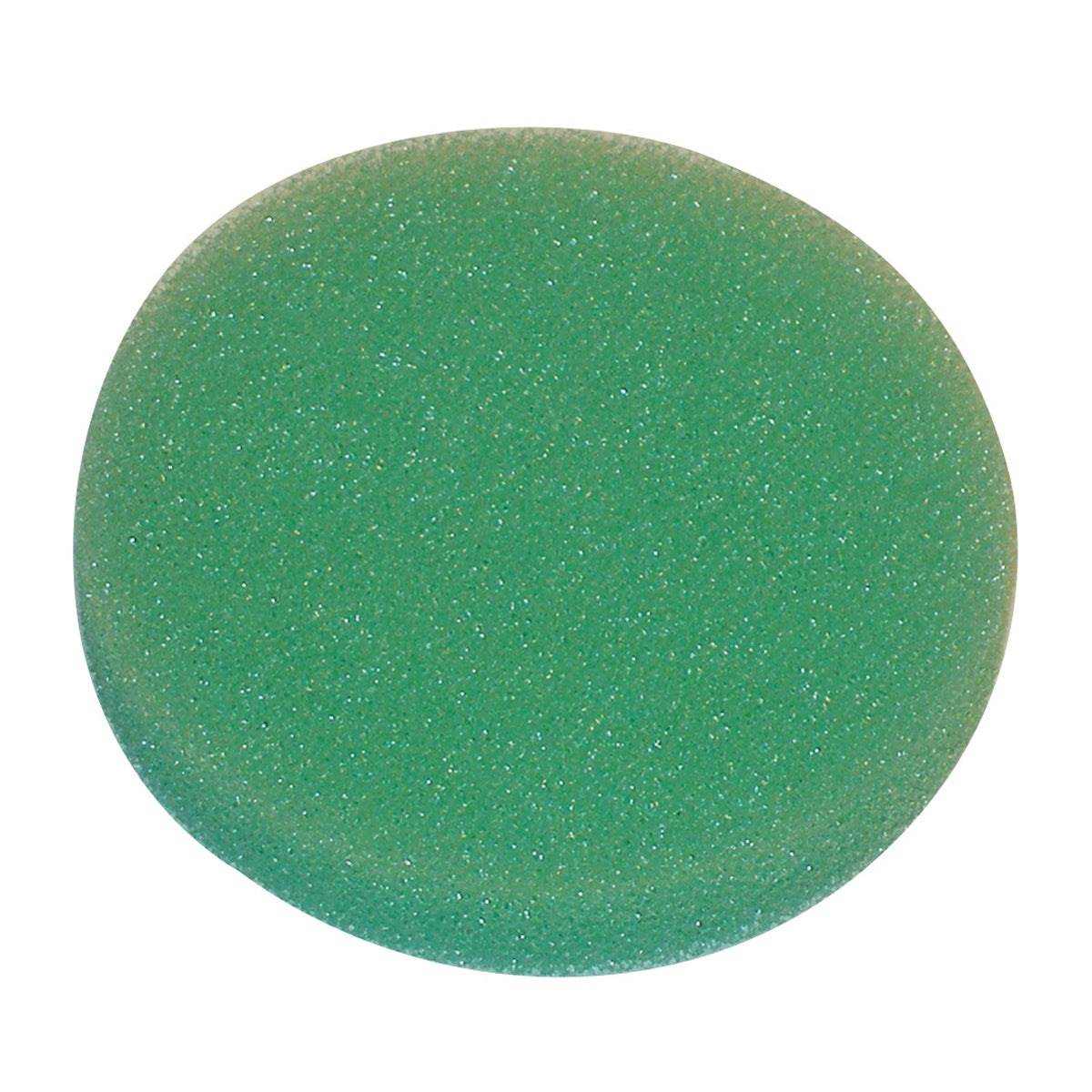 B1AF53 - image 1