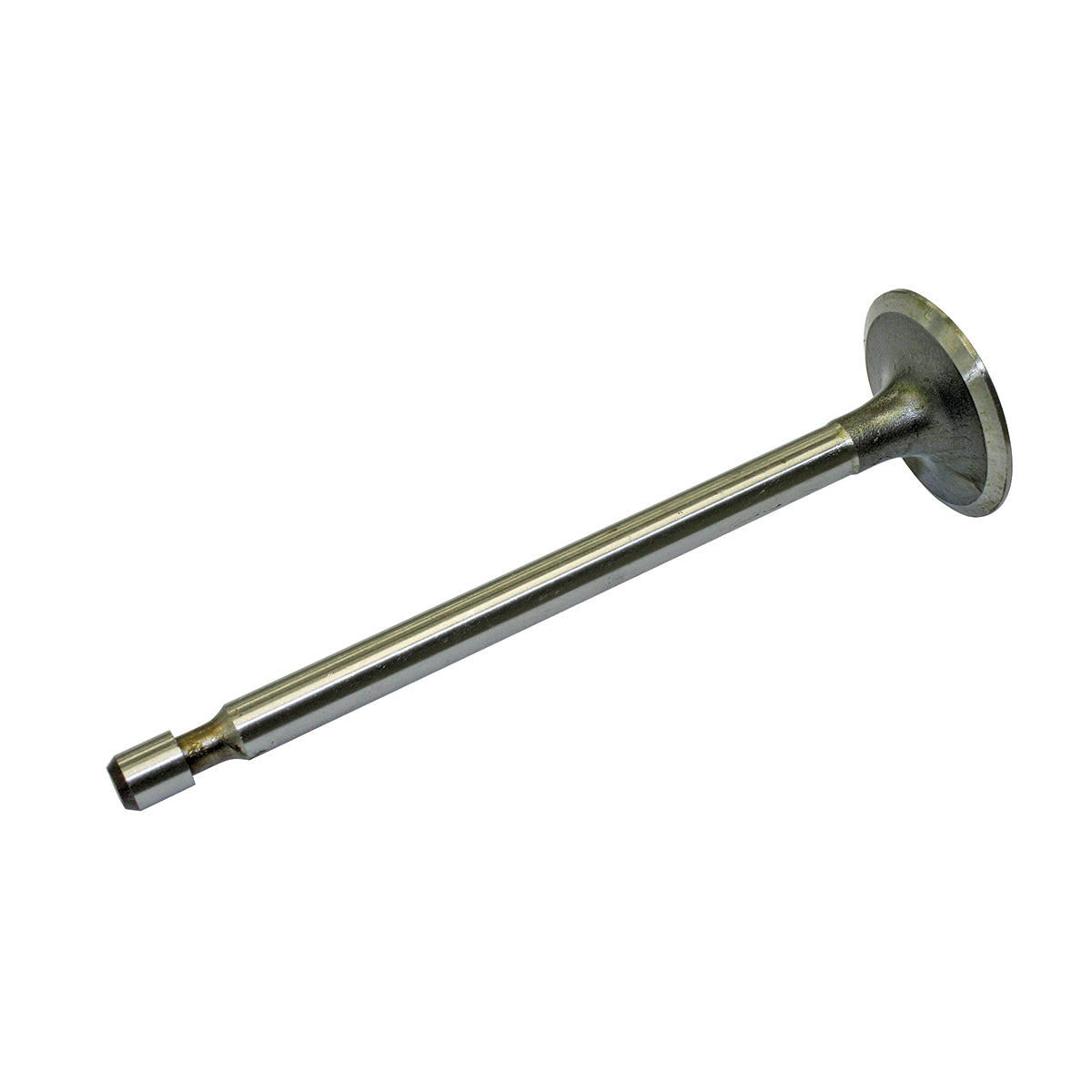 B1BR33 - image 1