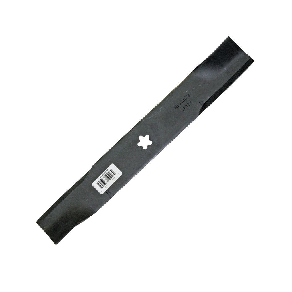 B1HV2203 - featured image