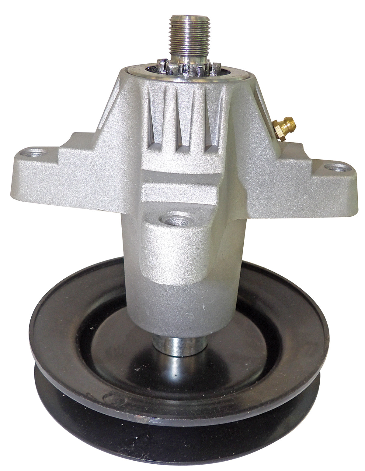 B1JM1004 - featured image