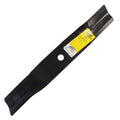B1KU1028 - featured image