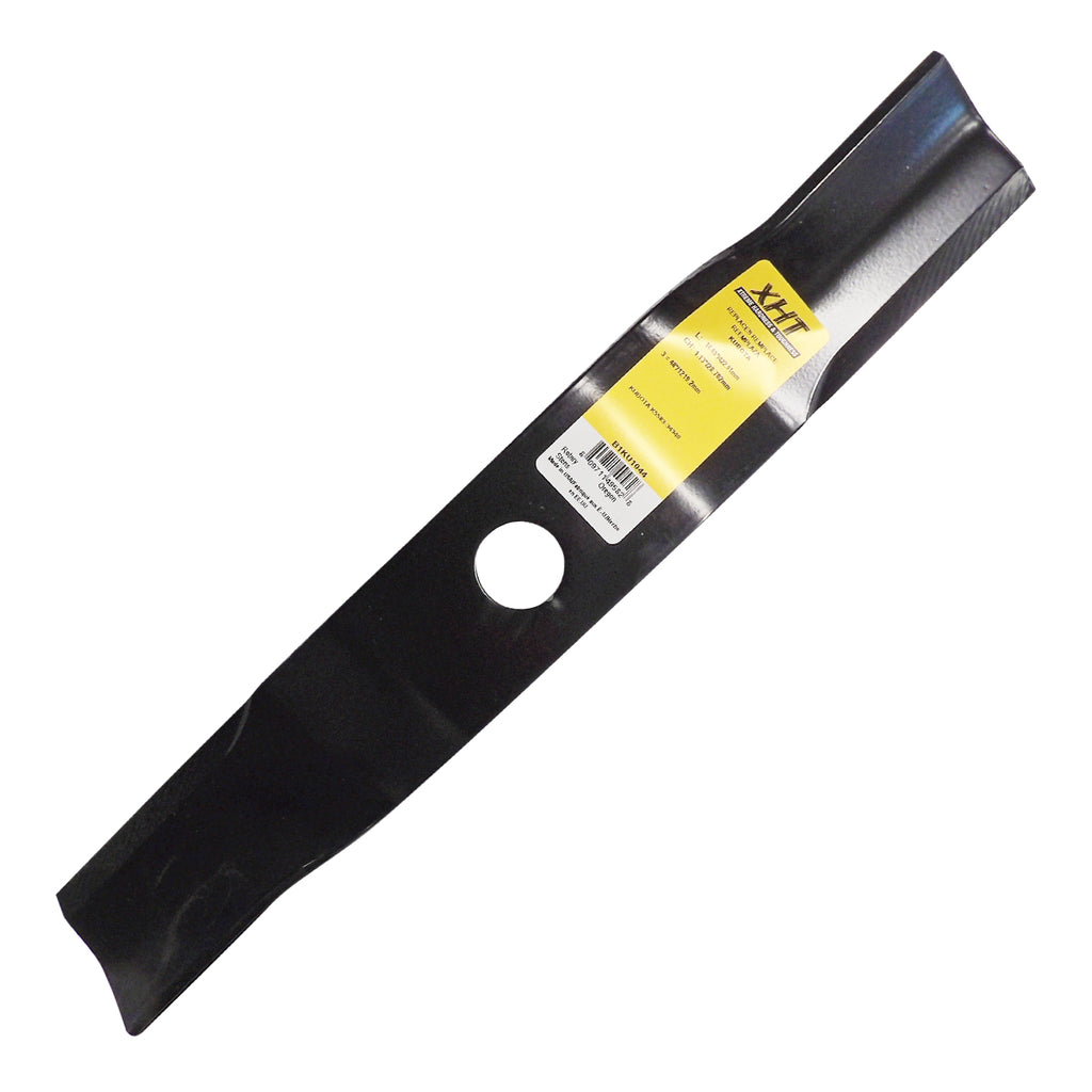 B1KU1044 - featured image
