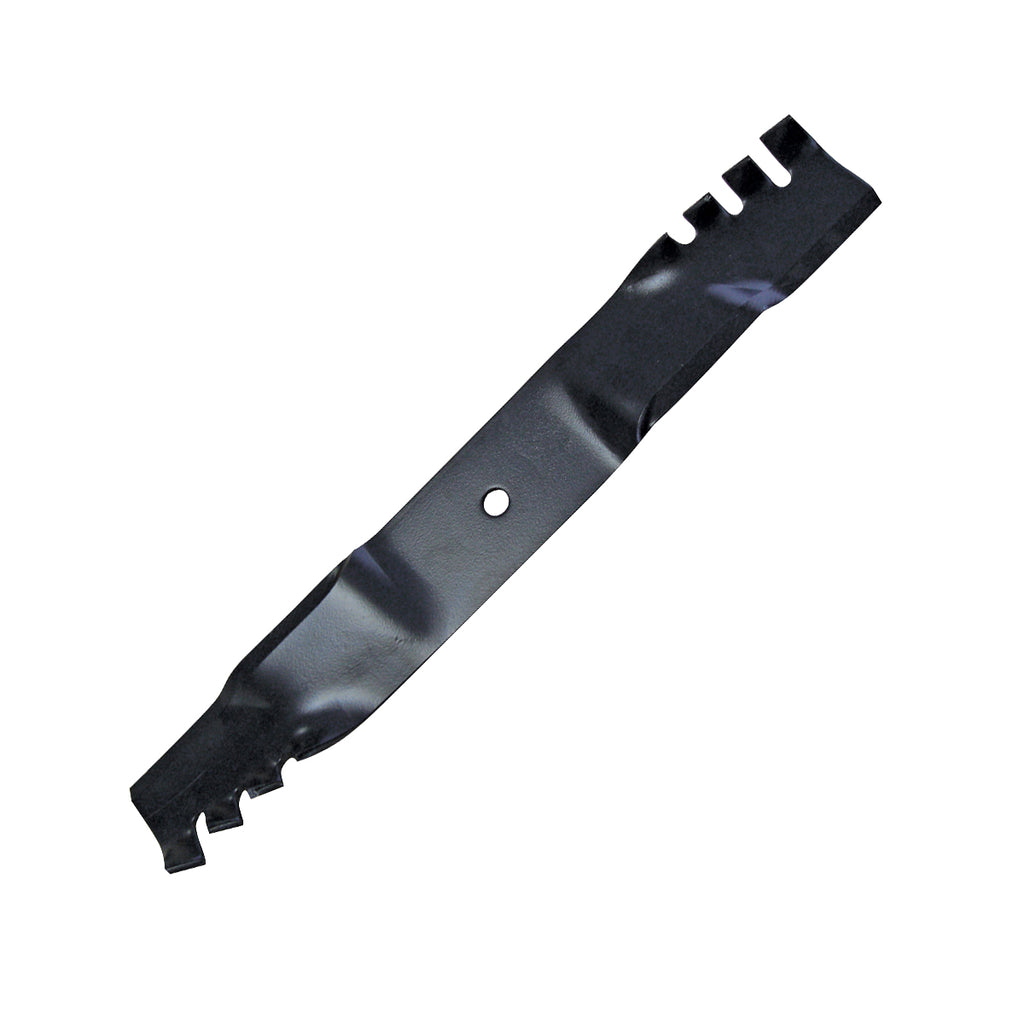 B1PD1031 - featured image