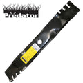 B1PD1054 - featured image