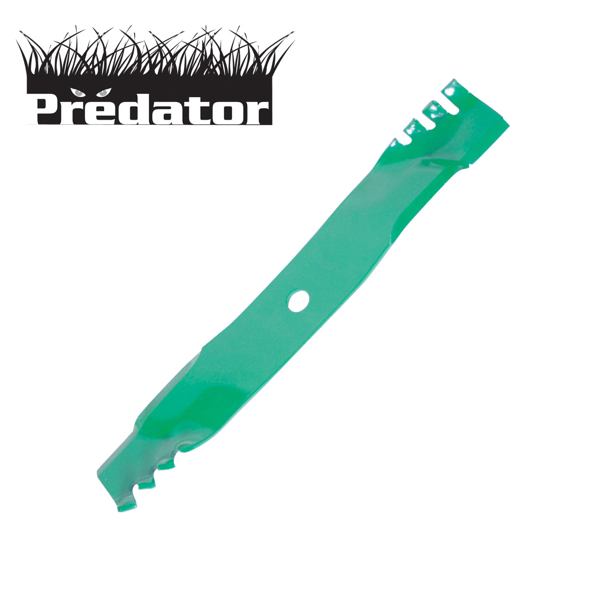 B1PD1063 - image 1