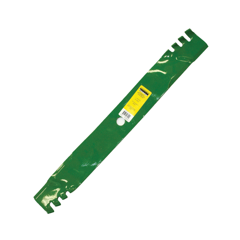 B1PD1065 - featured image