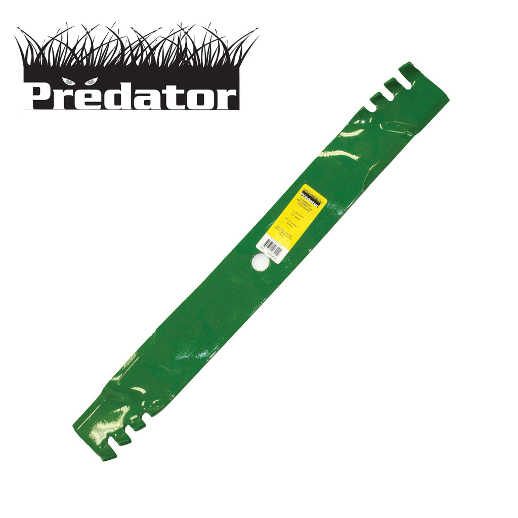 B1PD1065 - image 1