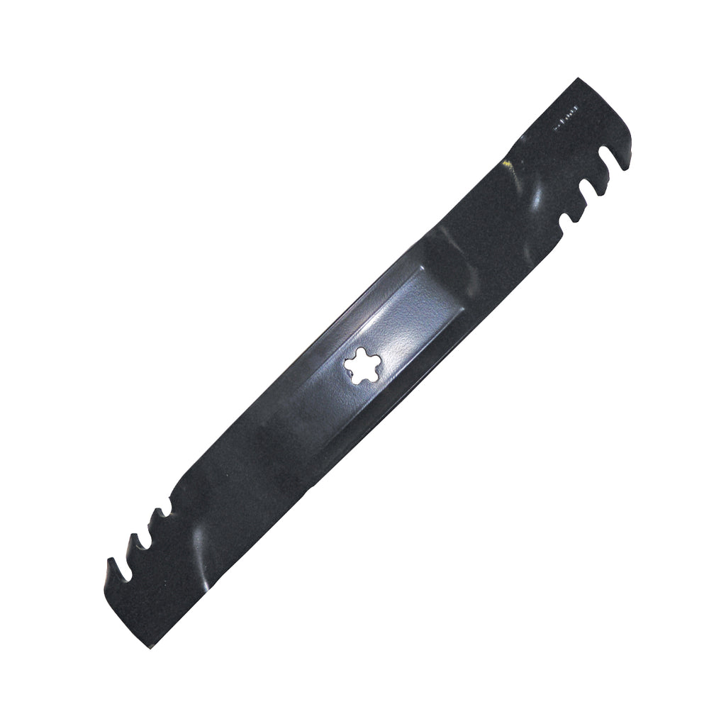 B1PD1072 - featured image