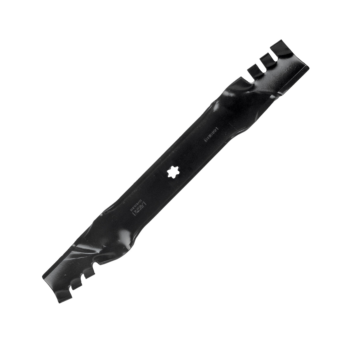 B1PD1073 - featured image