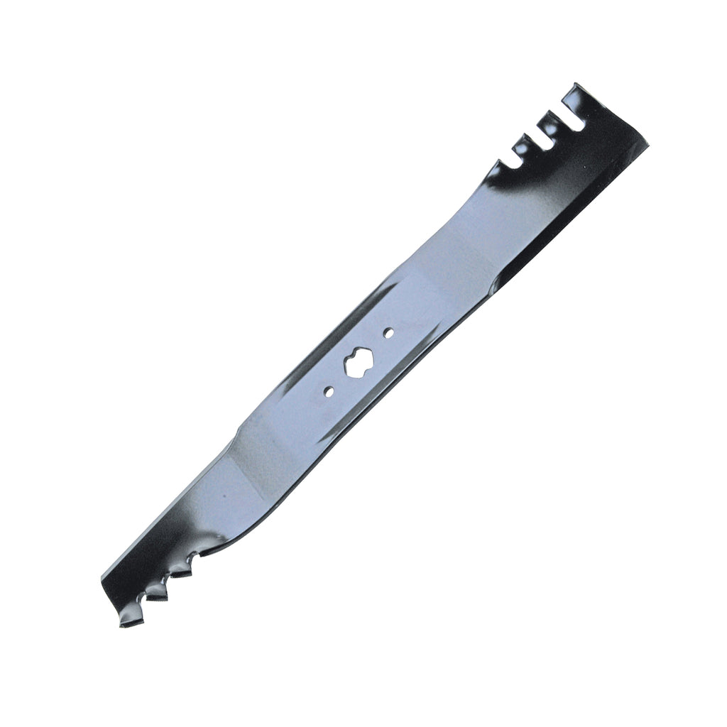 B1PD1095 - featured image