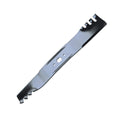 B1PD1095 - featured image