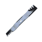 B1PD1095 - featured image
