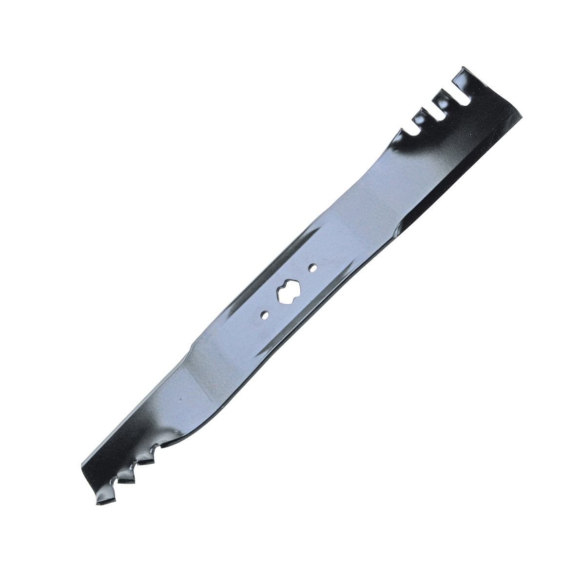 B1PD1095 - featured image