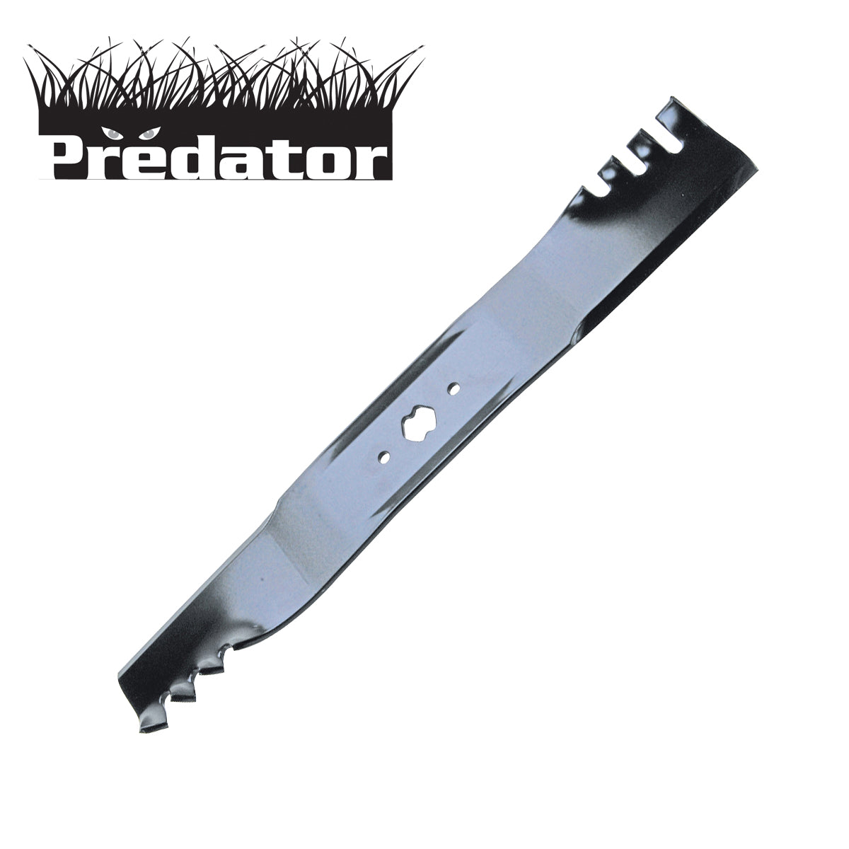 B1PD1095 - image 1