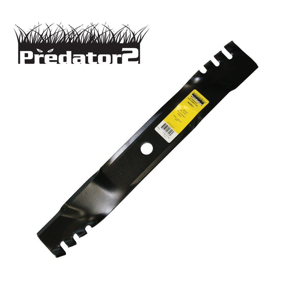 B1PD2001 - image 1