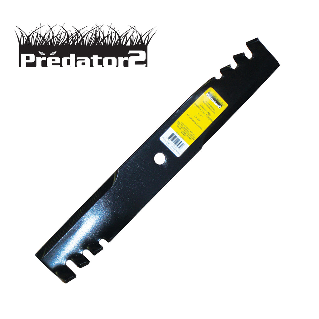 B1PD2007 - image 1