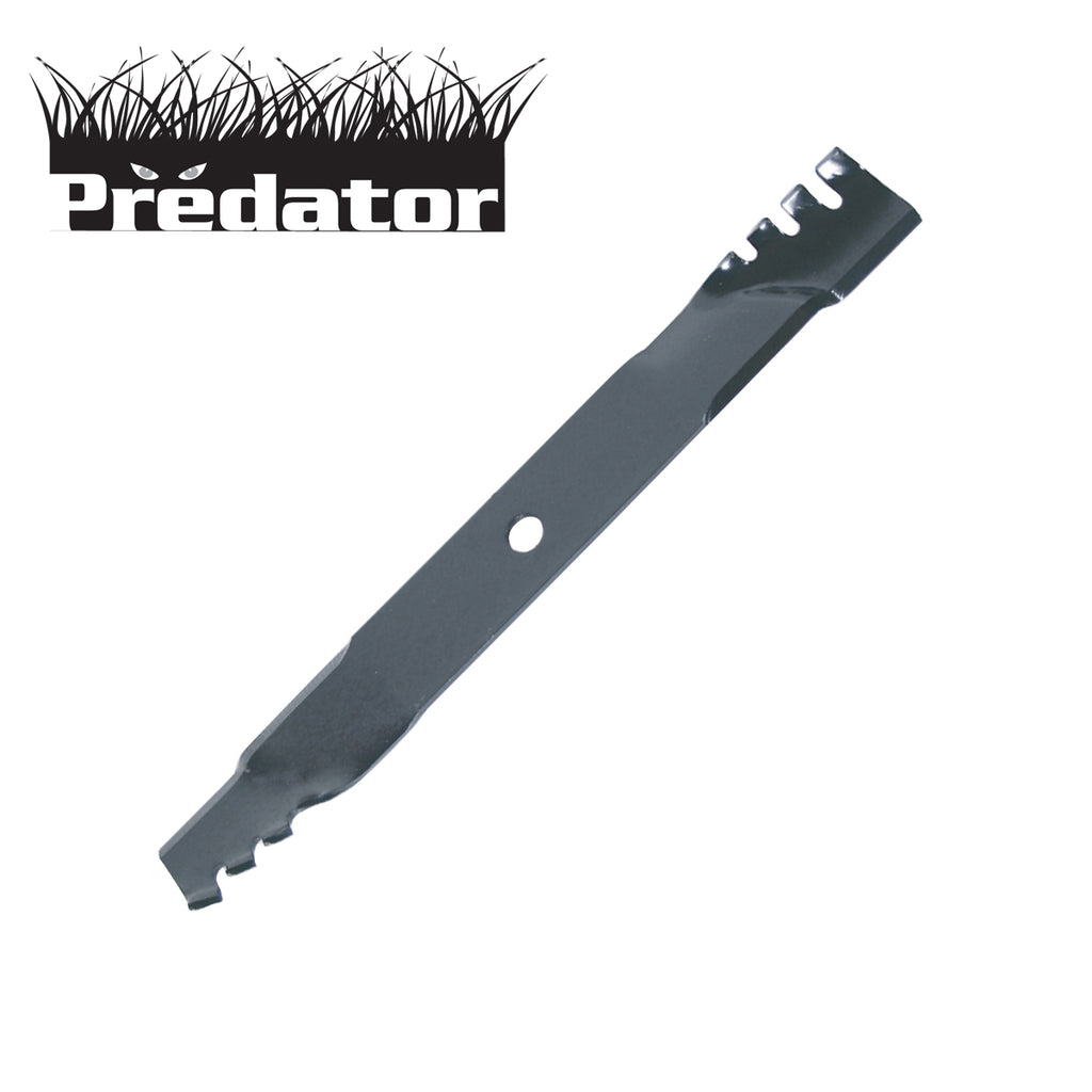 B1PD5003 - image 1