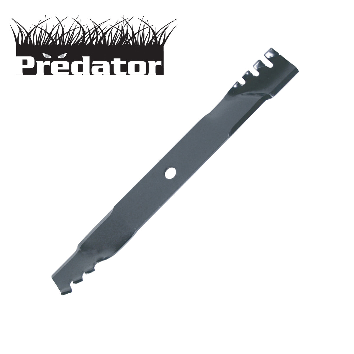 B1PD5003 - image 1