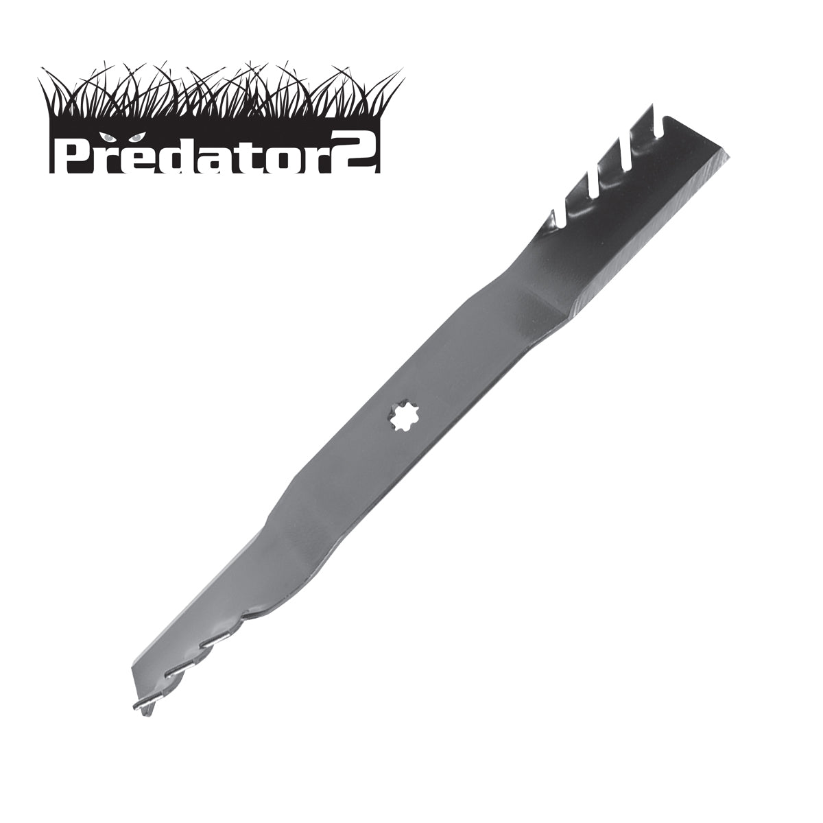 B1PD5016 - featured image