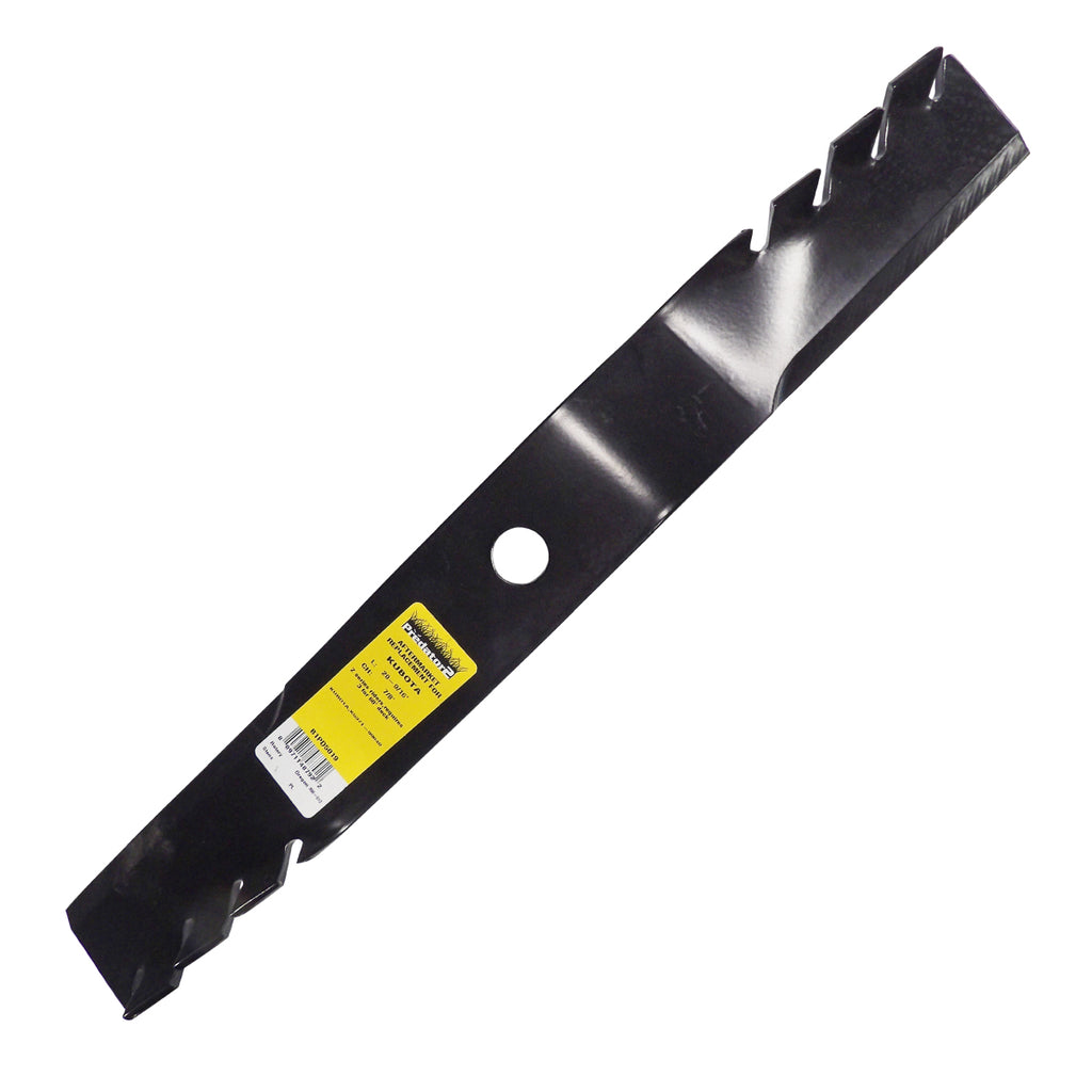 B1PD5019 - featured image