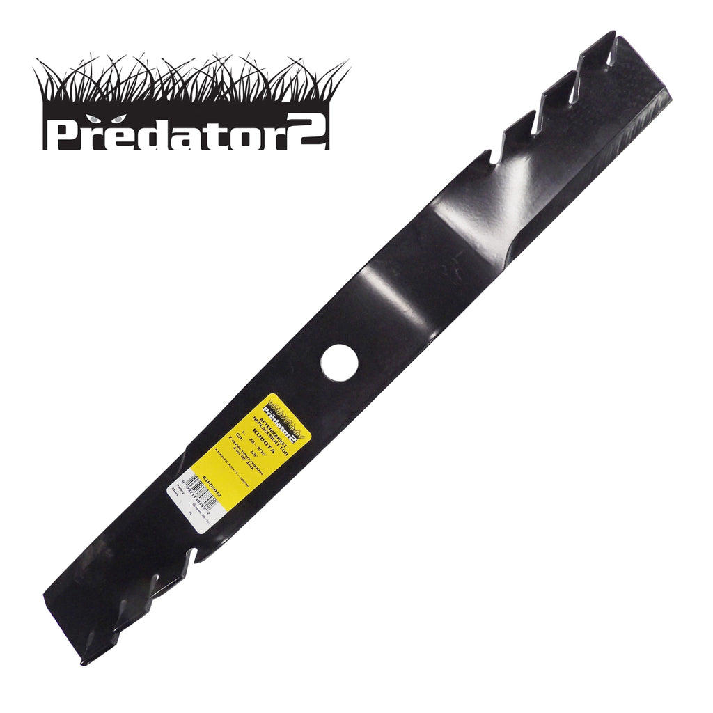 B1PD5019 - image 1