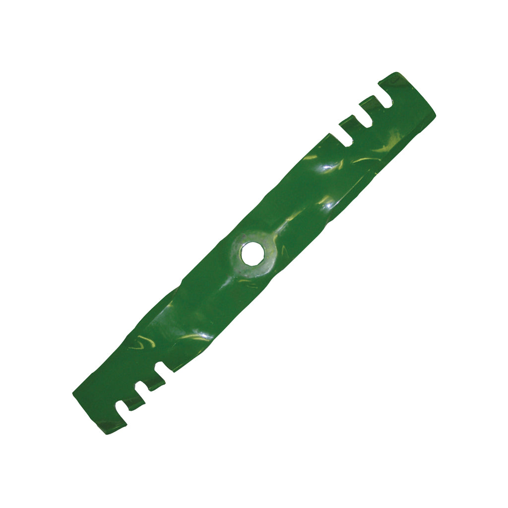 B1PD5026 - featured image