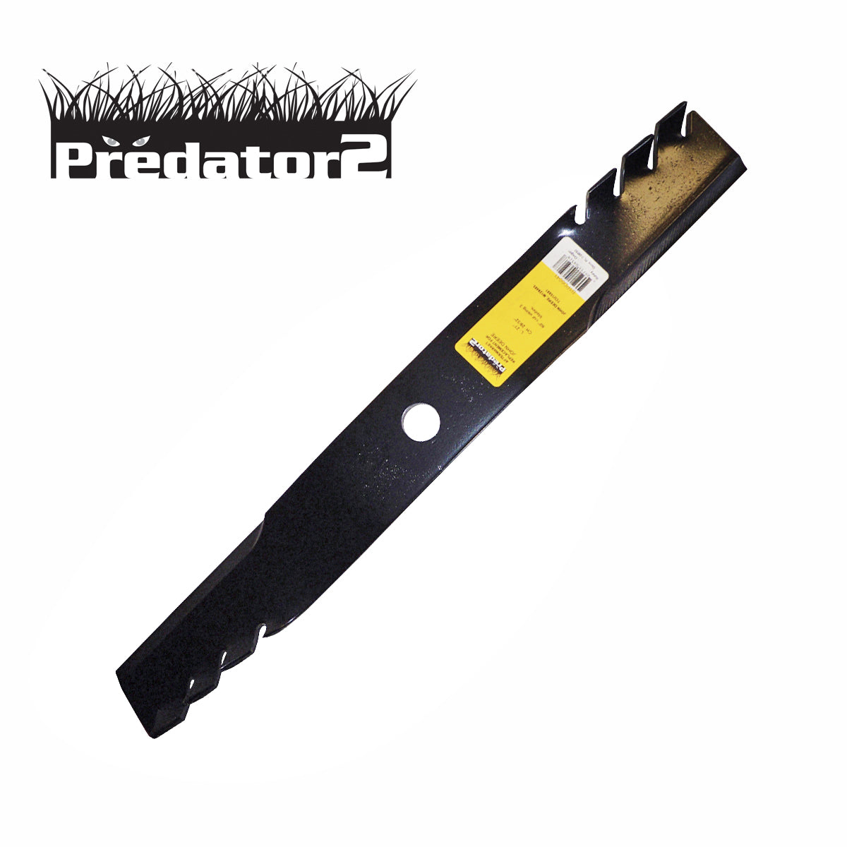 B1PD5041 - image 1