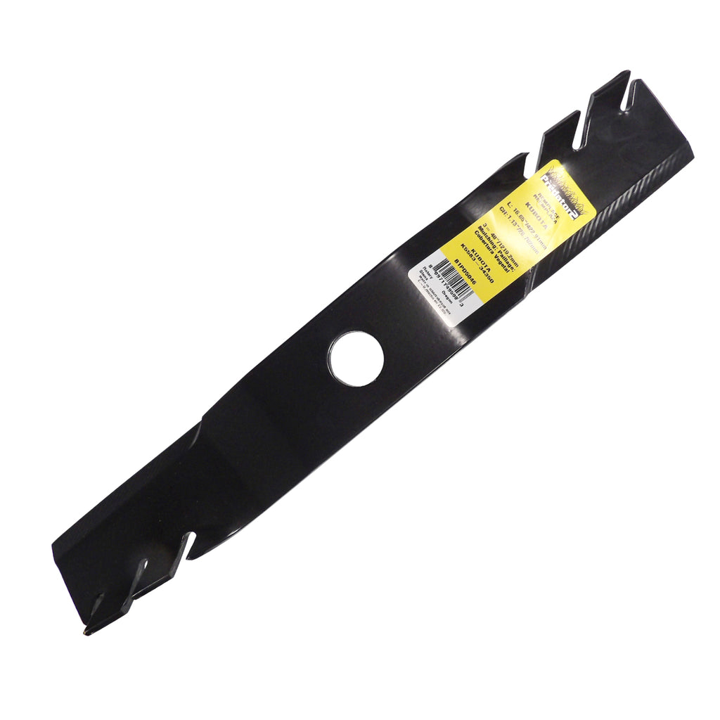 B1PD5046 - featured image