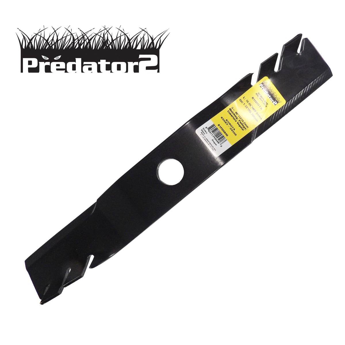 B1PD5046 - image 1