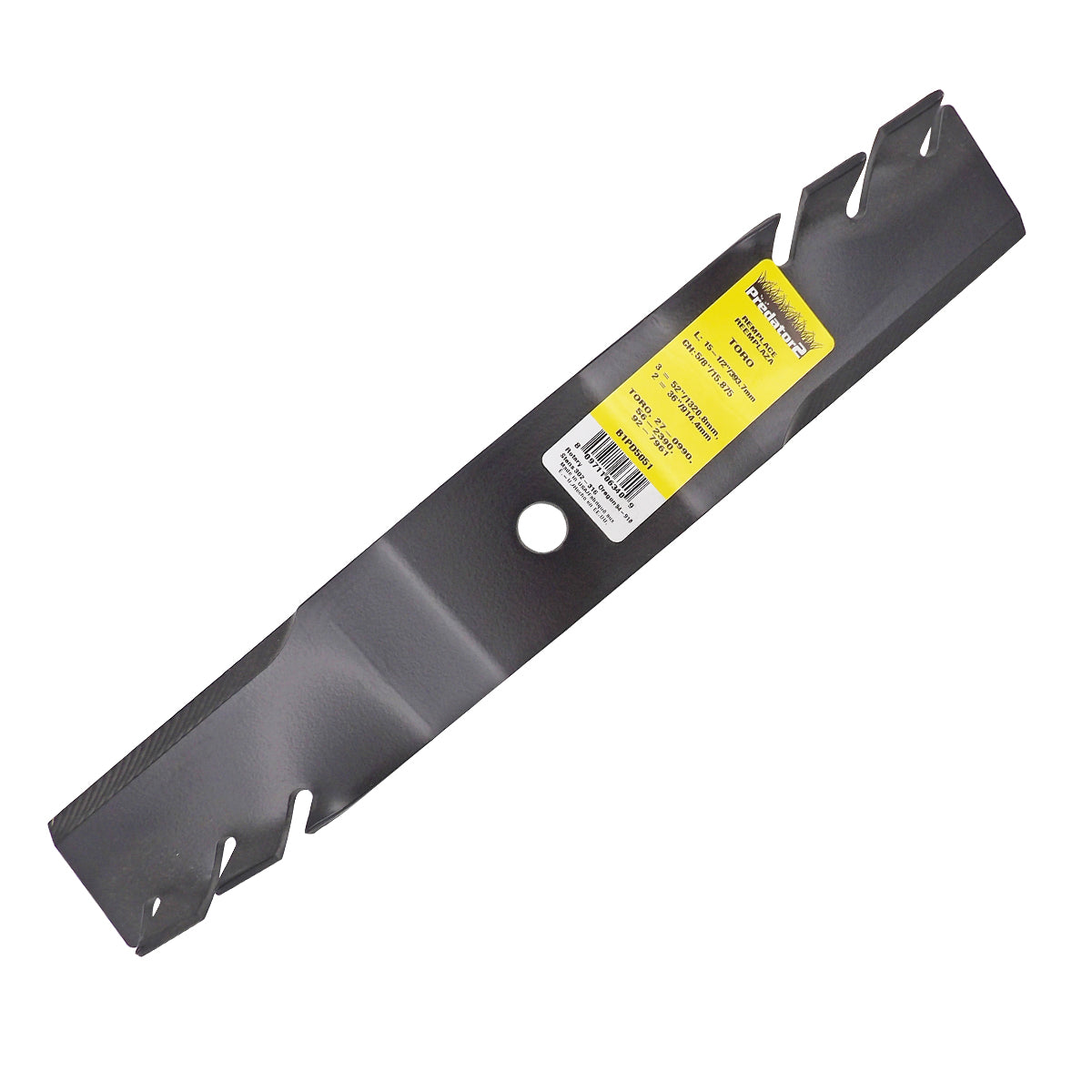 B1PD5051 - featured image