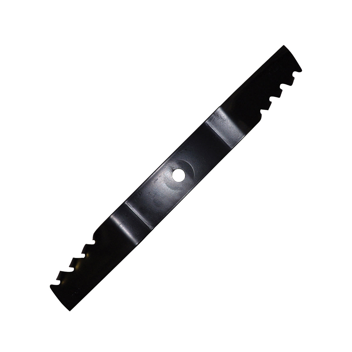 B1PD5068 - featured image