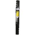 B1PD5113 - featured image