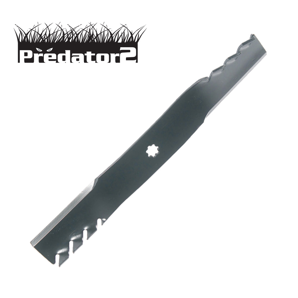 B1PD5125 - featured image