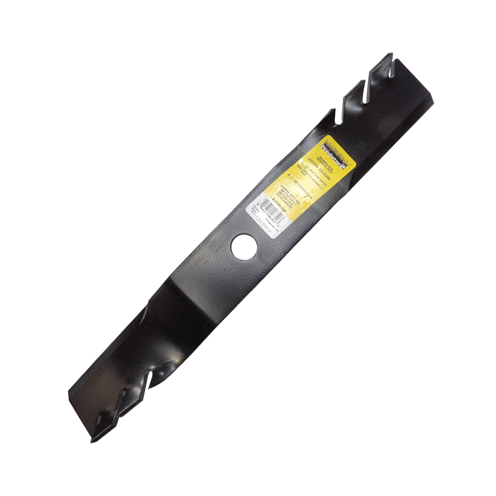 B1PD5138 - featured image