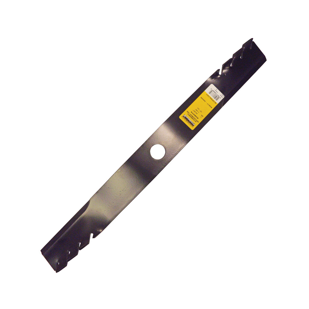 B1PD5147 - featured image