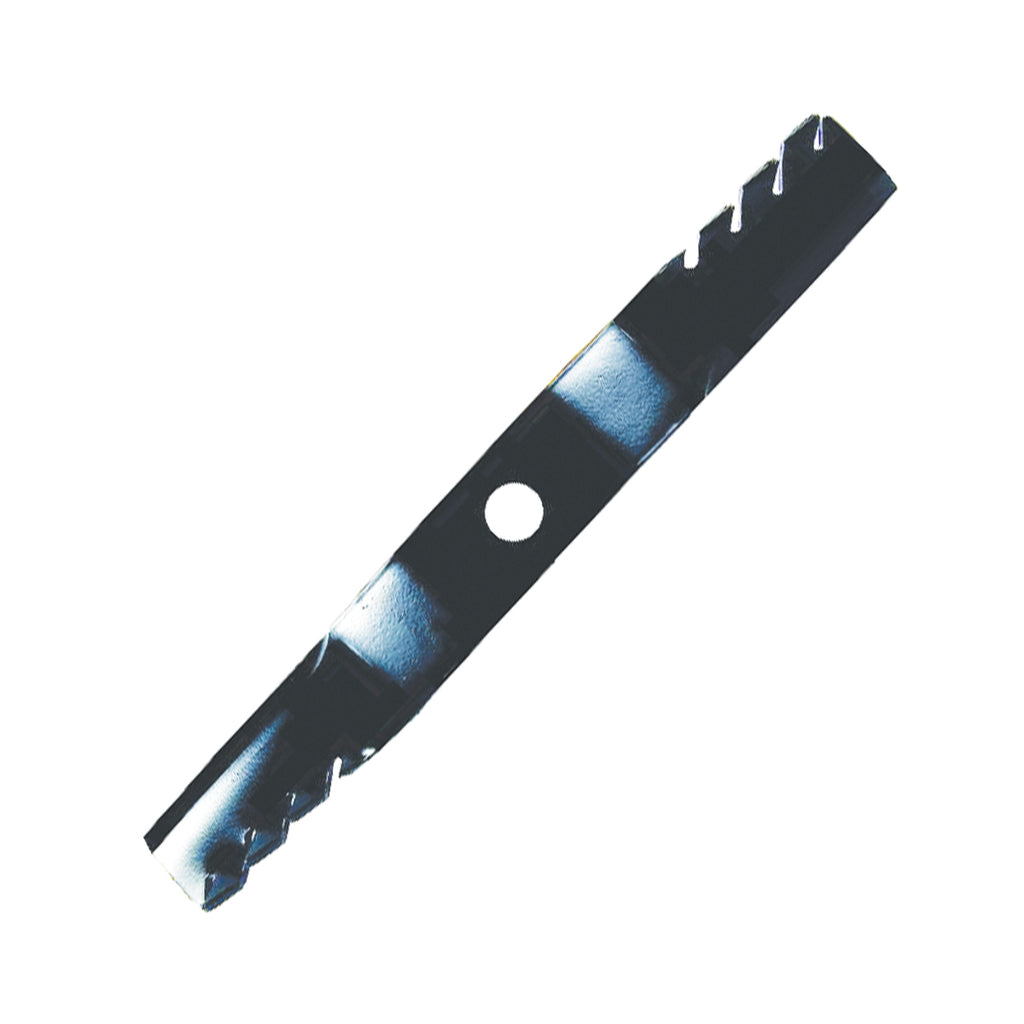 B1PD5148 - featured image