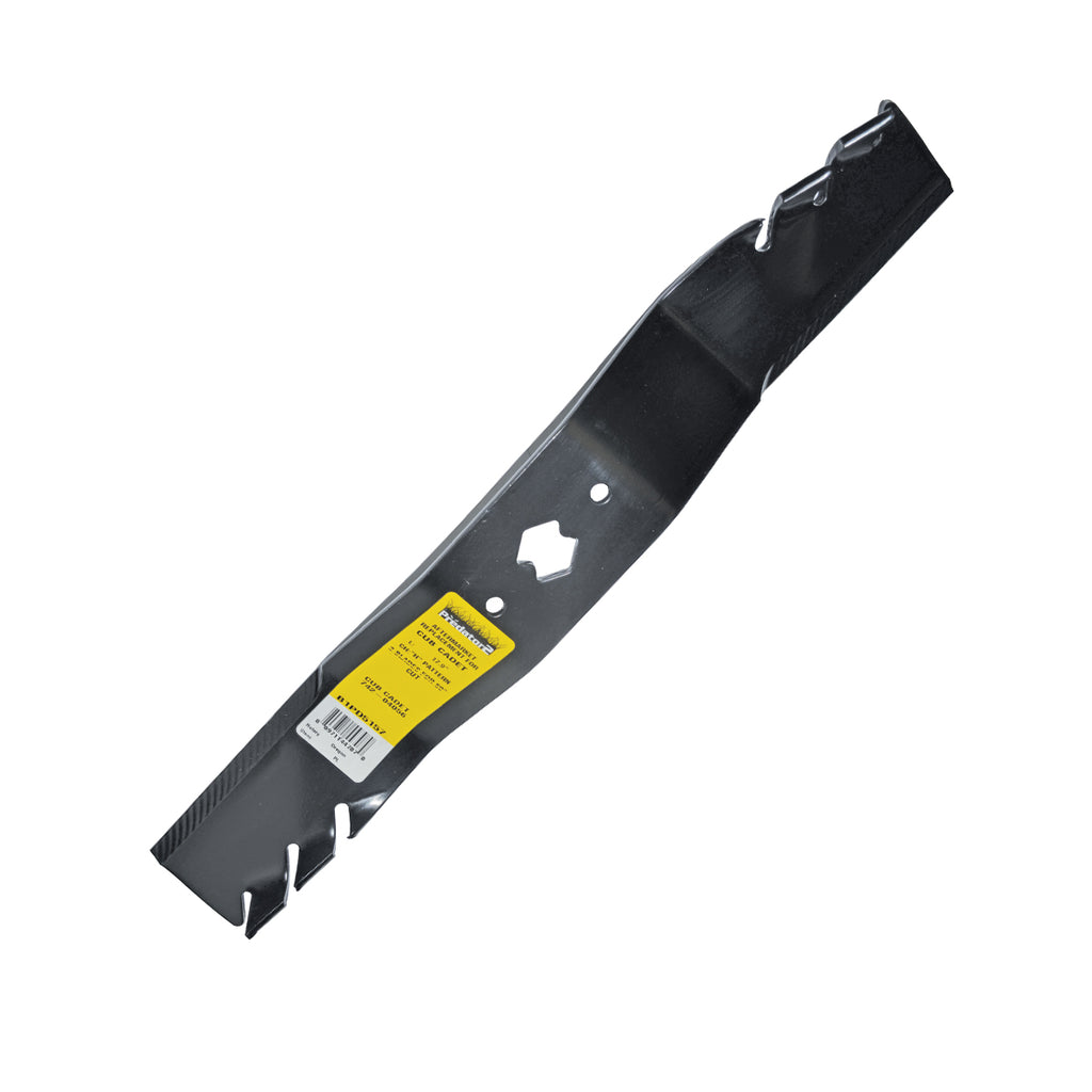 B1PD5157 - featured image