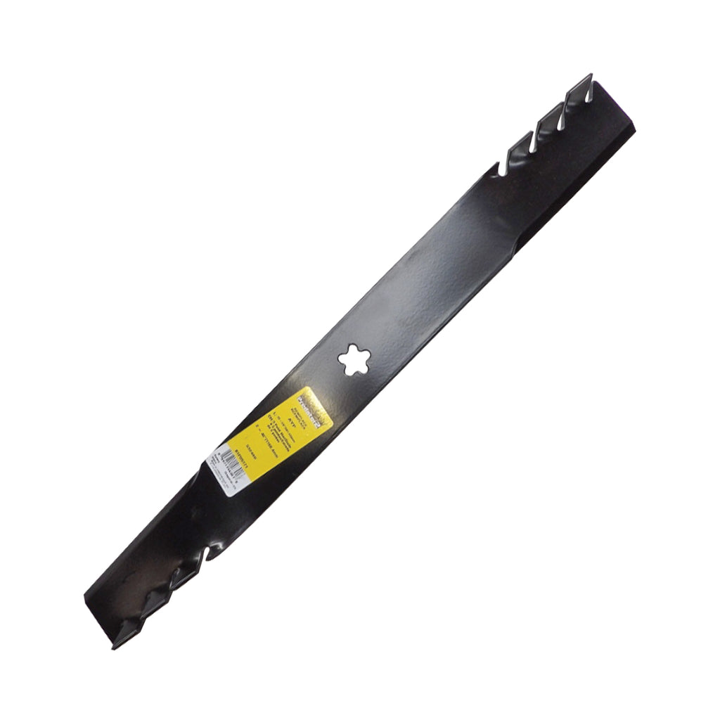 B1PD5171 - featured image