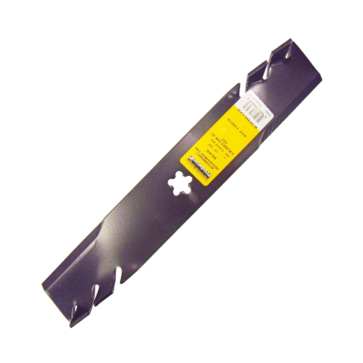 B1PD5173 - featured image