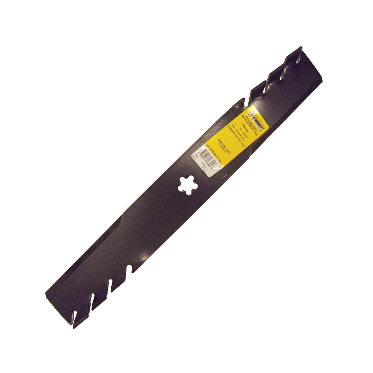 B1PD5175 - featured image