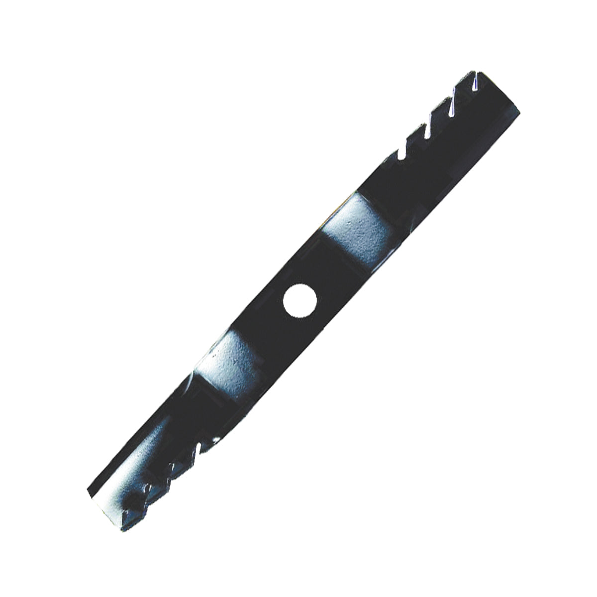 B1PD5177 - featured image