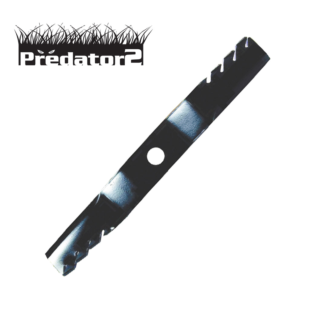 B1PD5177 - image 1