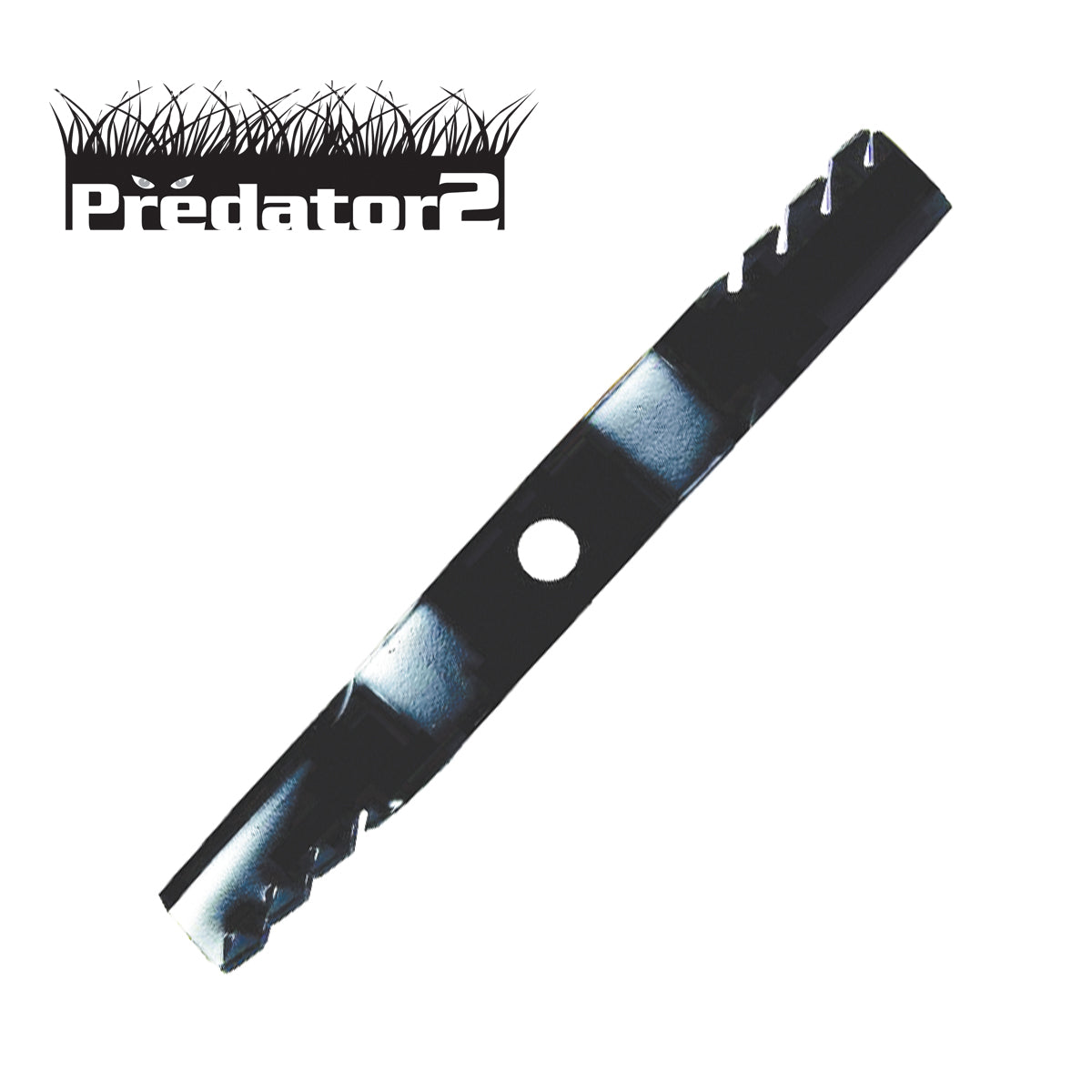 B1PD5177 - image 1
