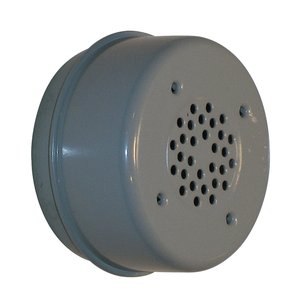 B1SB2292 - featured image