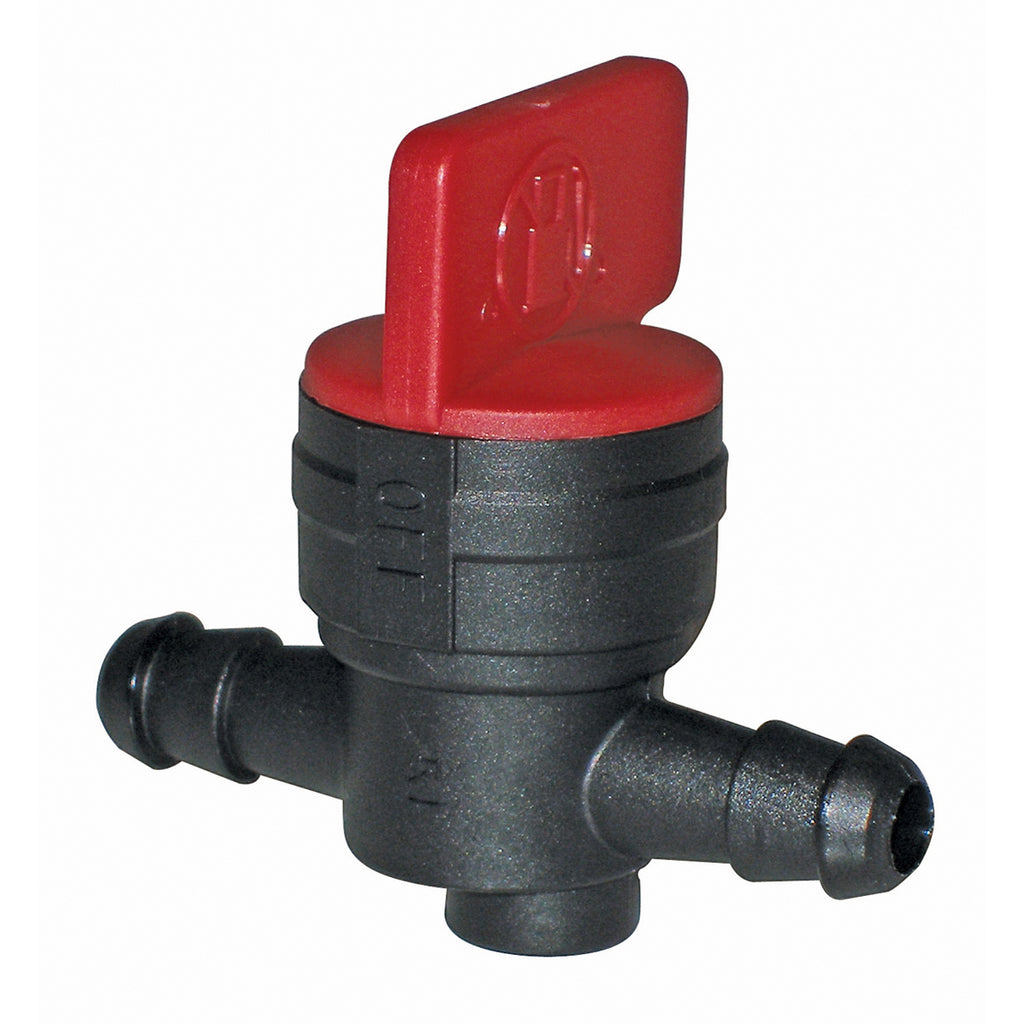 B1SB5841 - featured image