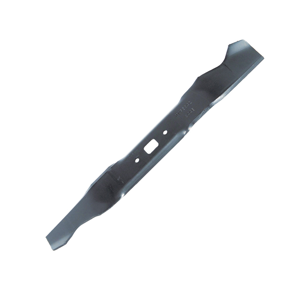B1SB6448 - featured image