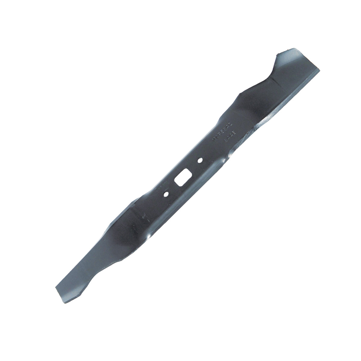 B1SB6448 - featured image