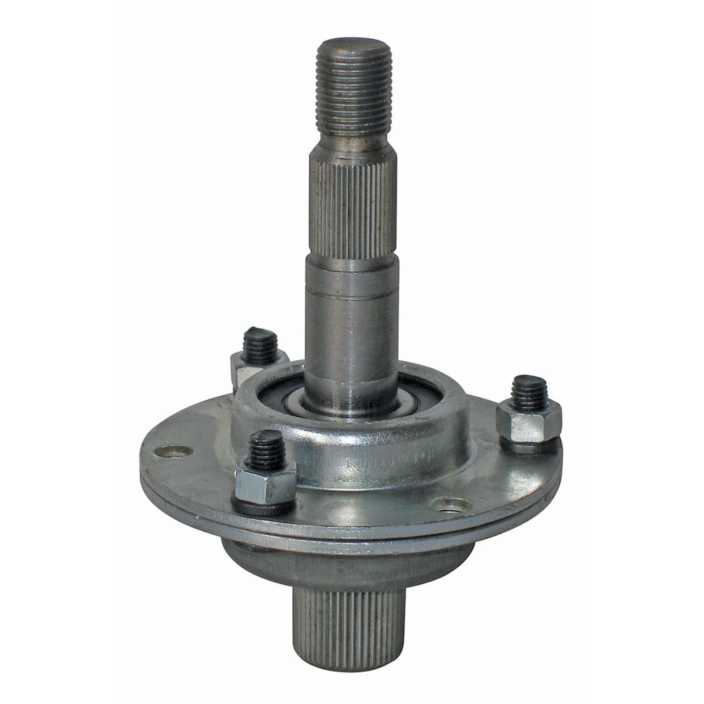 B1SB7156 - featured image